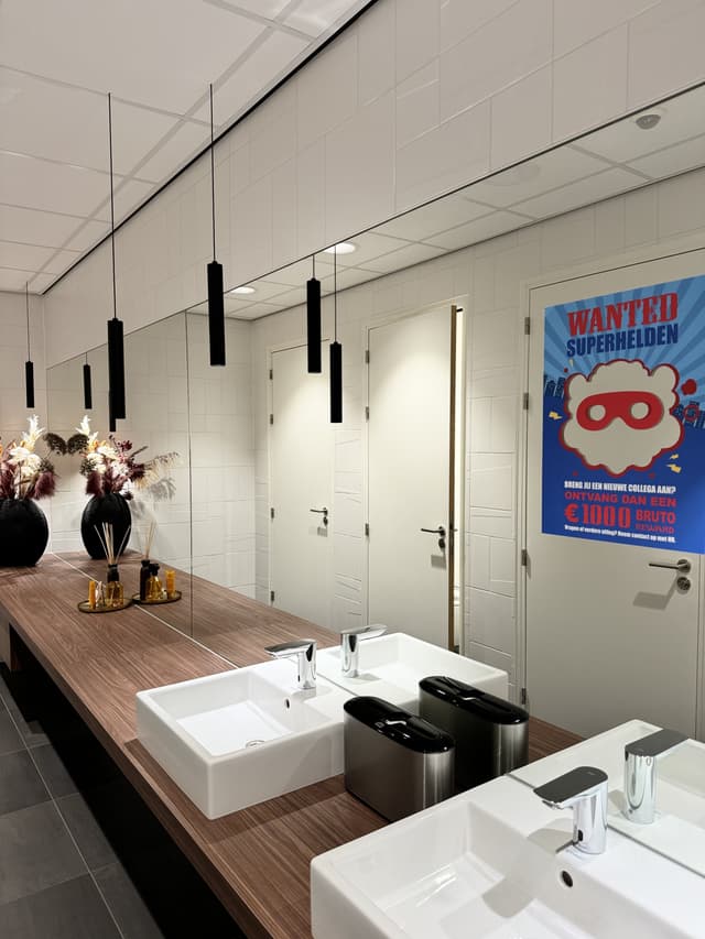 cover image of holland mill